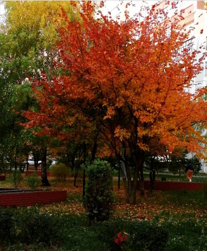 осень