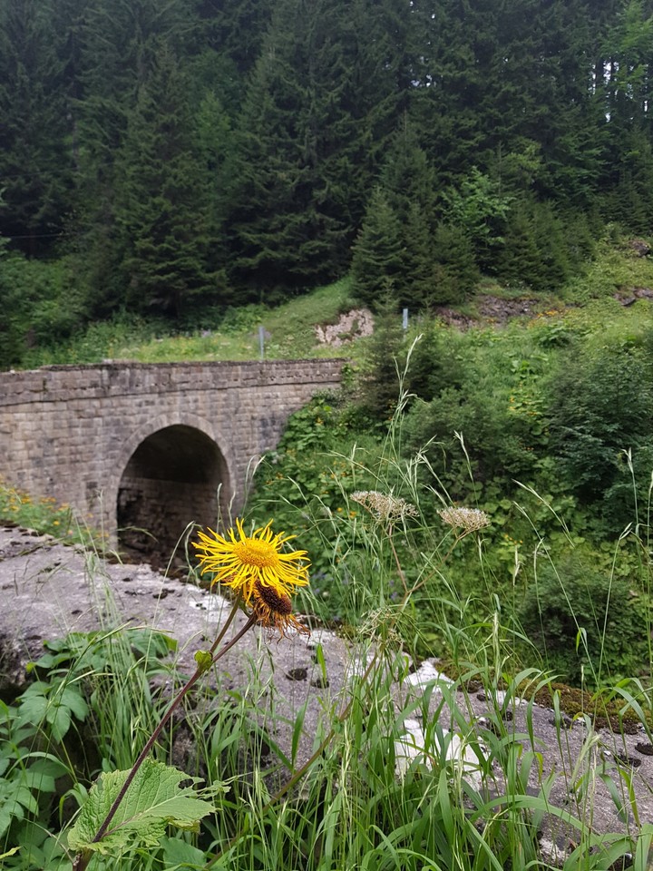 Maçka/Trabzon
