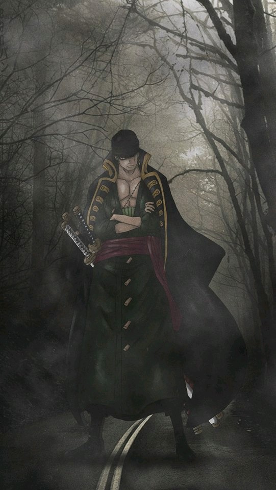 zoro the pirate hunter