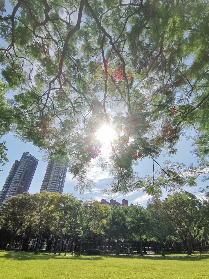 the sun