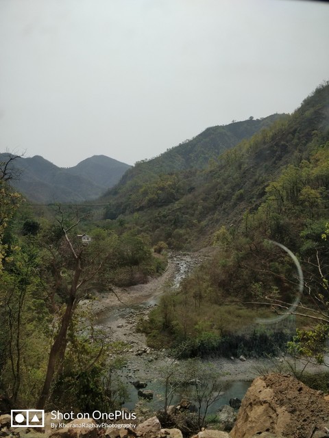 hills love
