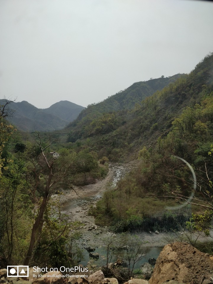 hills love