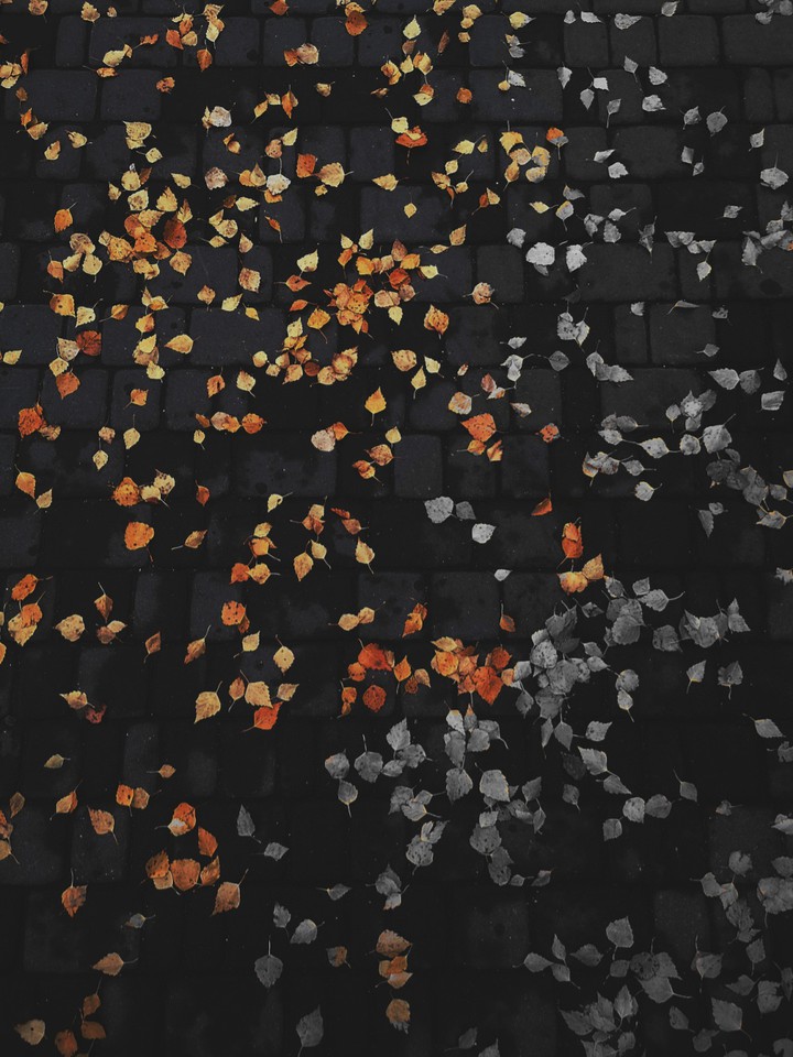 Autumn photos