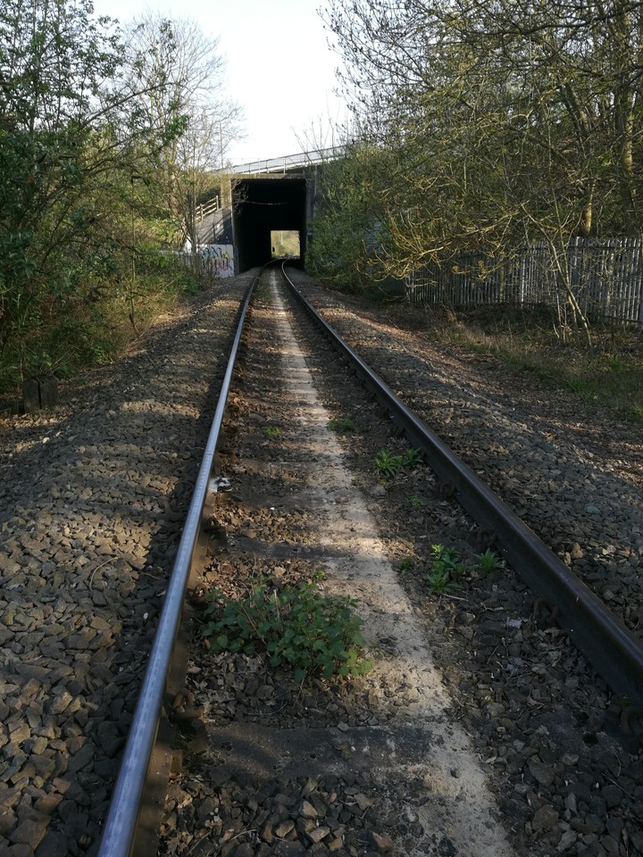 abandoned tracks