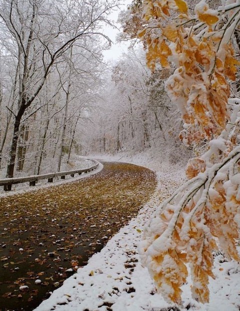 nature