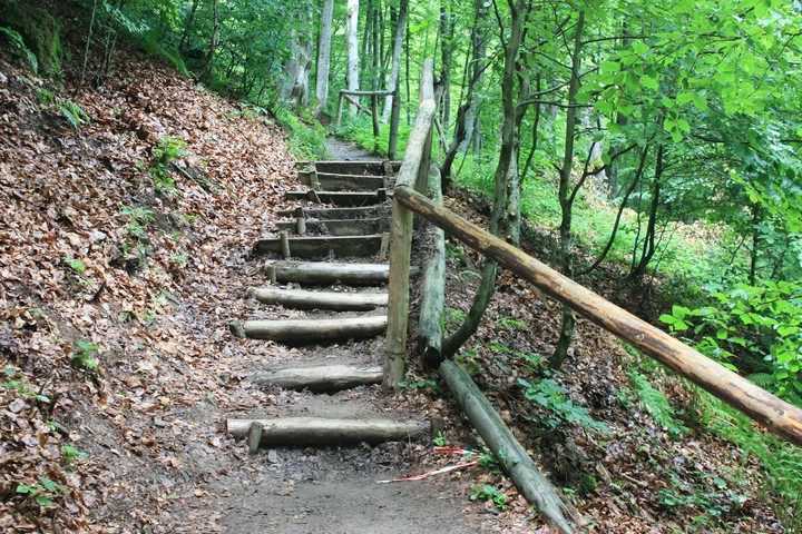 The forgotten gnome trail