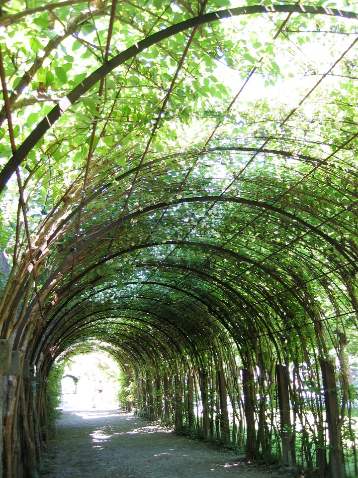 Formal Garden