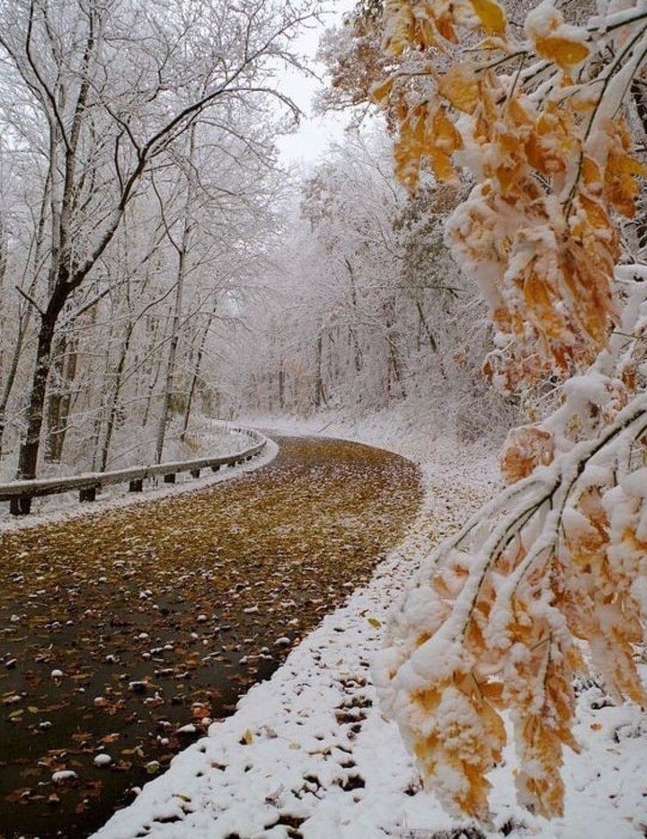 nature