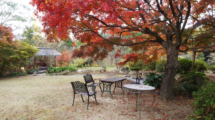 紅葉の庭