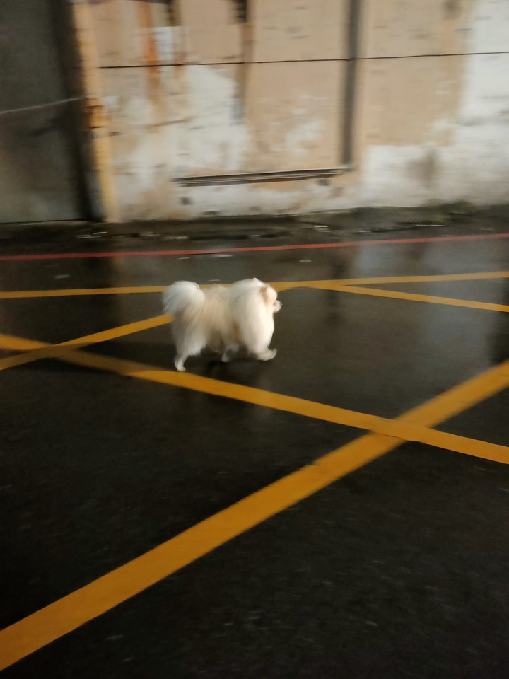 Digi