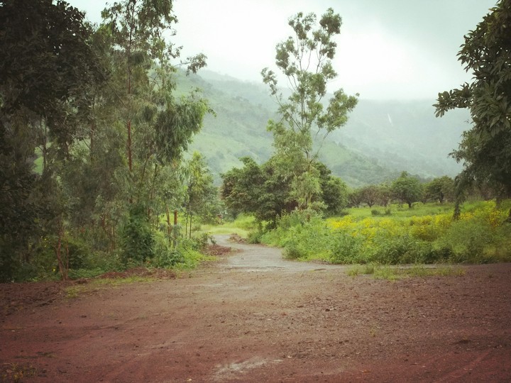 peaceful nature