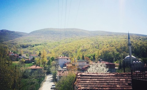 turkey