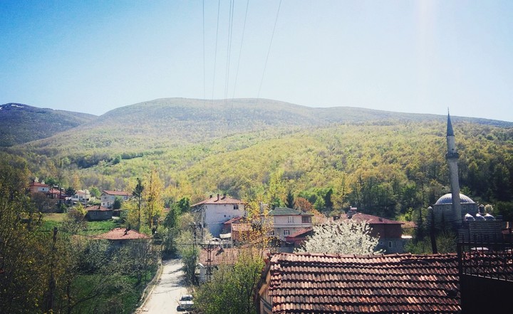 turkey