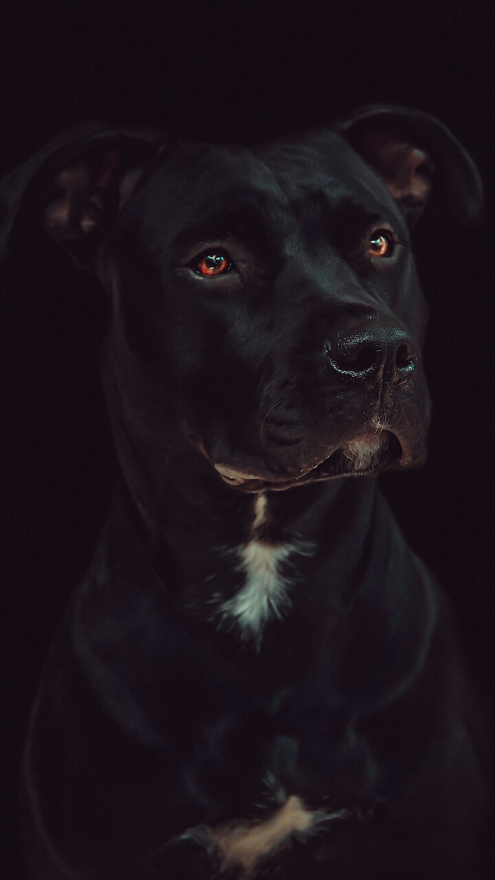 ⭐