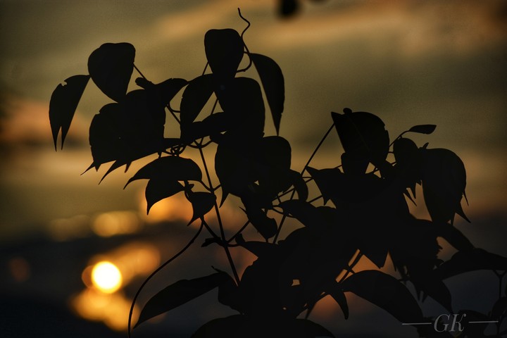darkness