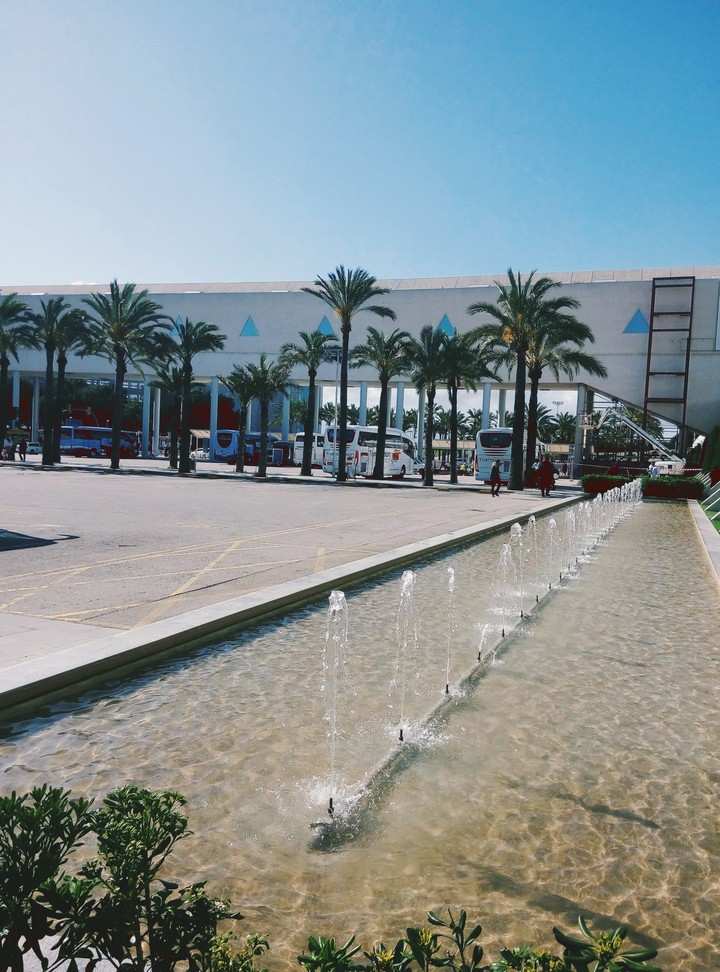 Palma de Mallorca 