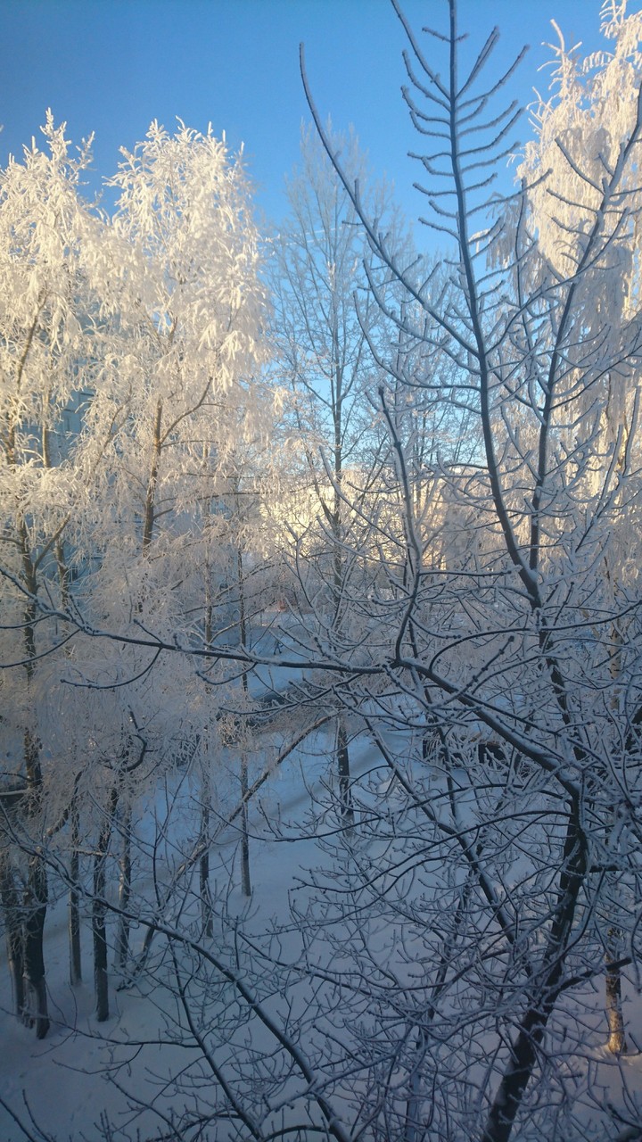 Мороз и солнце