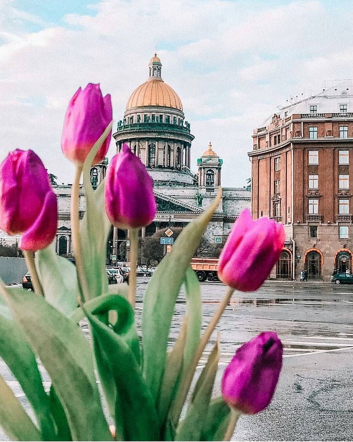 спб