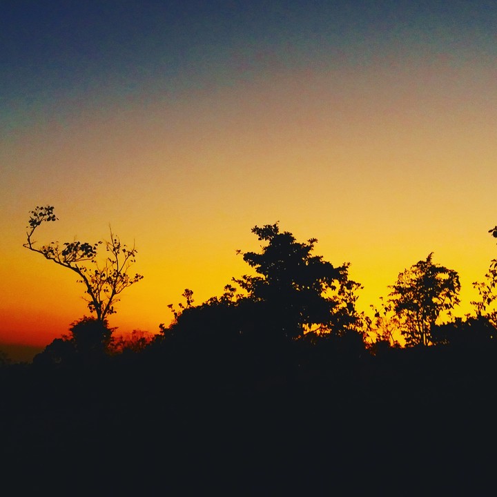 cool nature