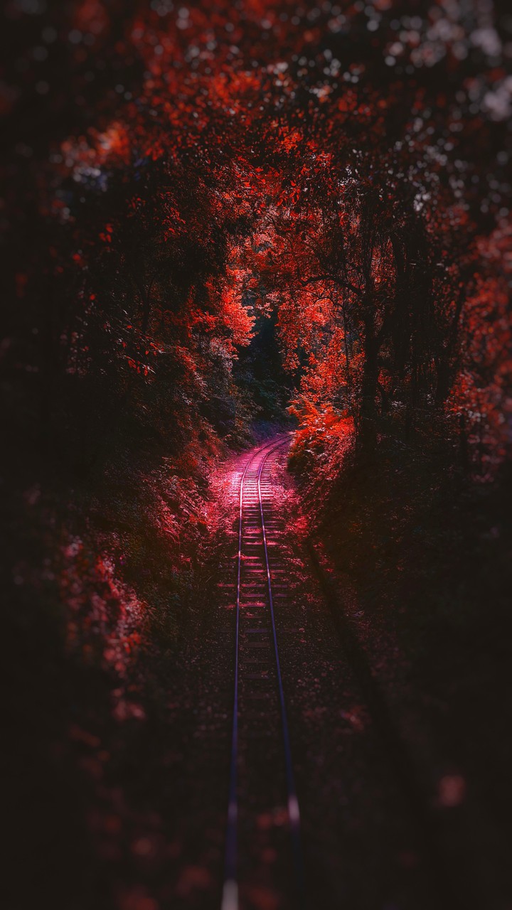 Track