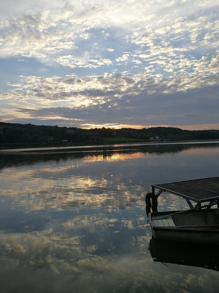 reflection