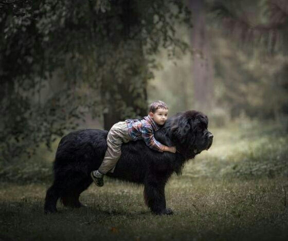 best friends