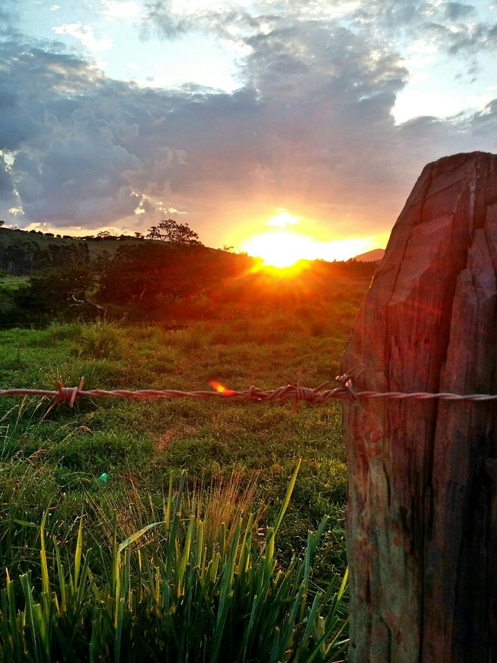 Pôr do sol - nature