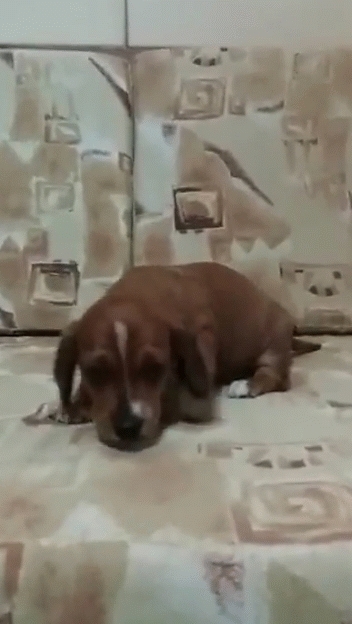 VIDA kadu