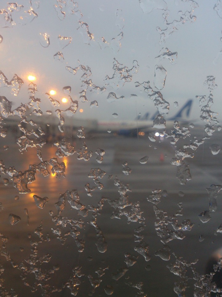 sight of the window