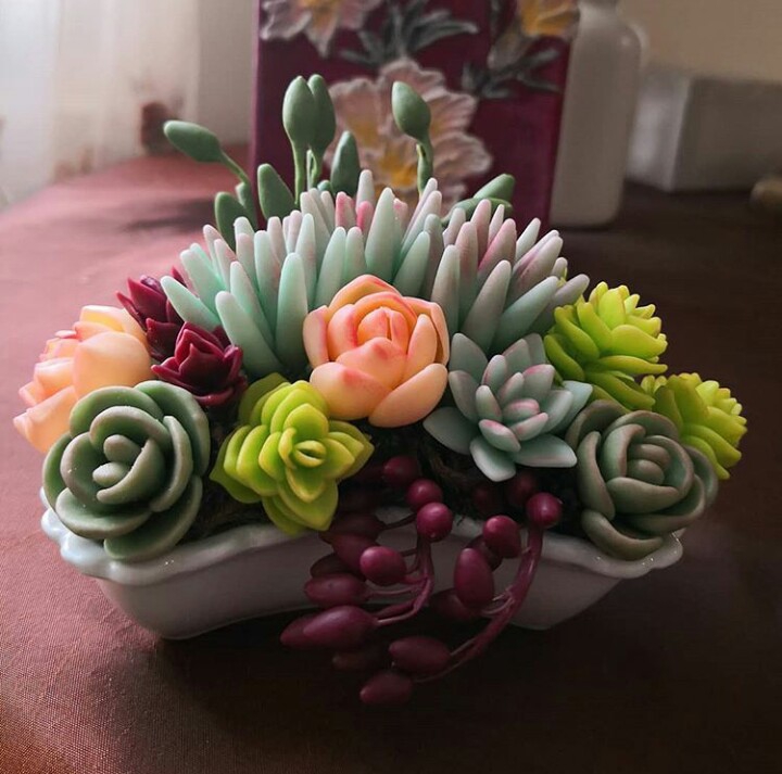 Ornamental cactus