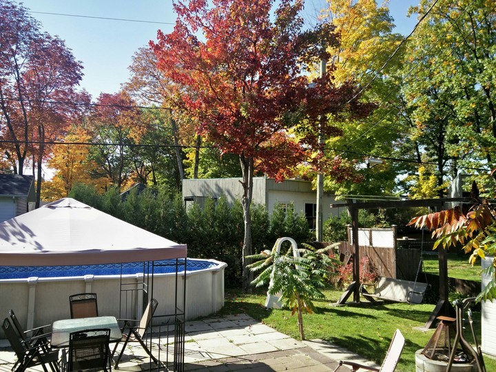 My house, During Automne