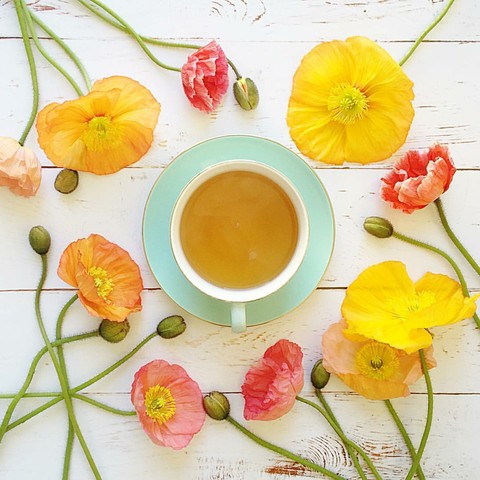 茶碟, drink桌布