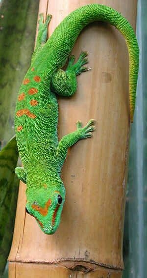 la belleza de la naturaleza