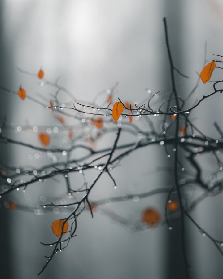 It's a Nature beauty