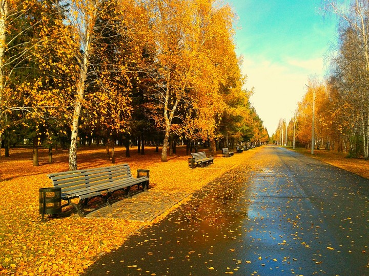 Autumn