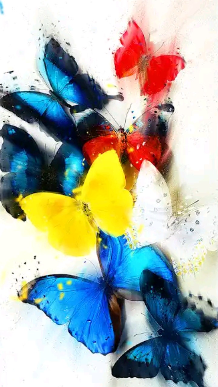 butterfly??