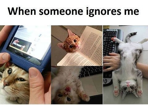 lol...how can a person ignore u ?