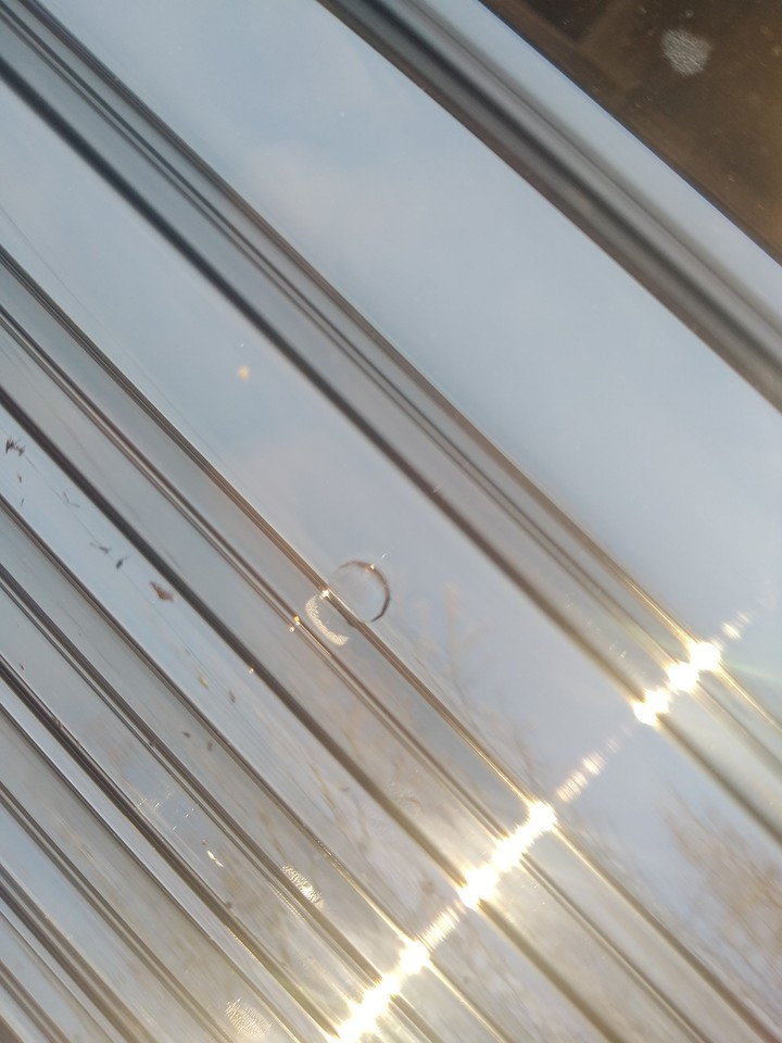 Reflection of sun