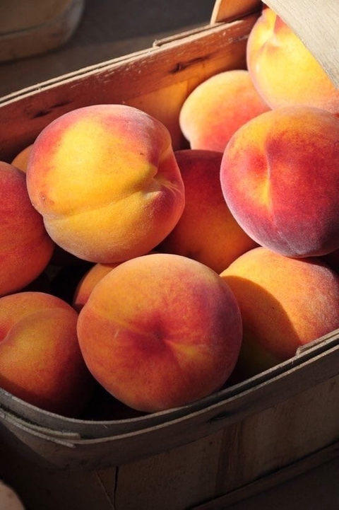 tapety fruit, peach