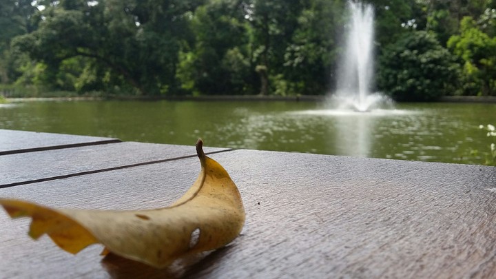 Indonesia park