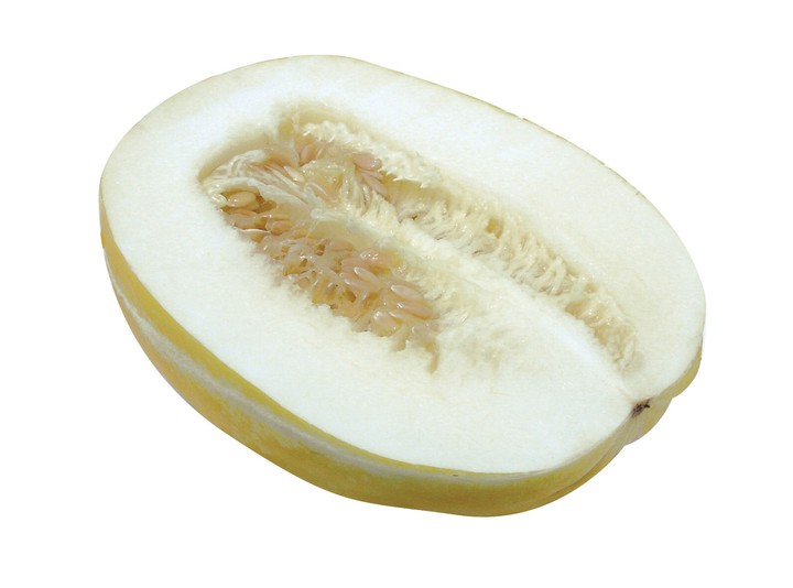 음식이미지