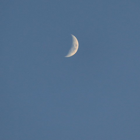 crescent