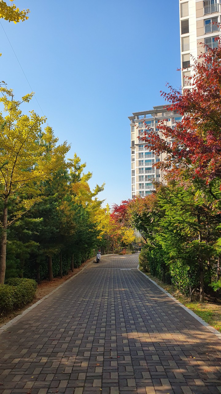 Fall.