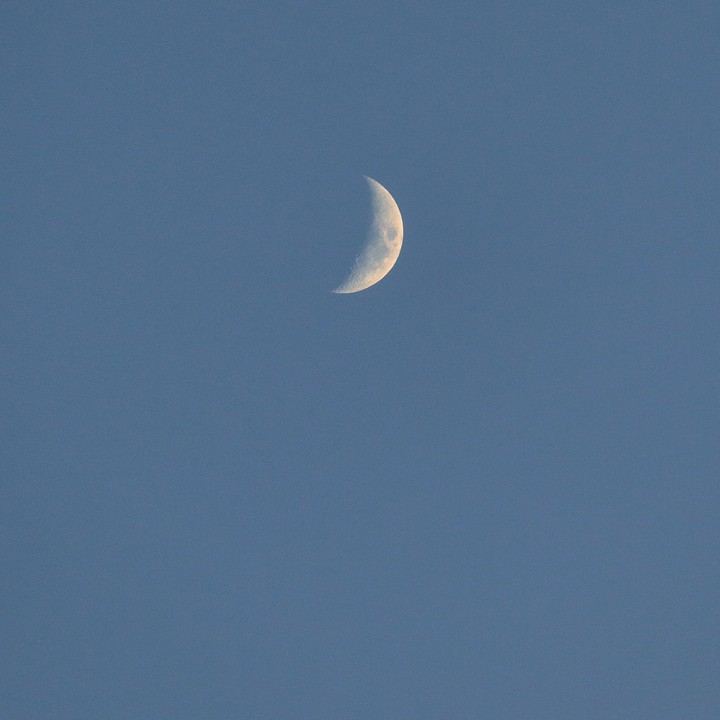 crescent