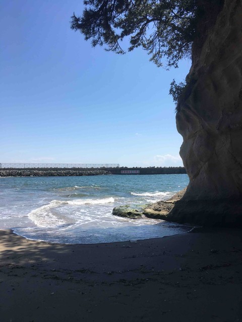 海