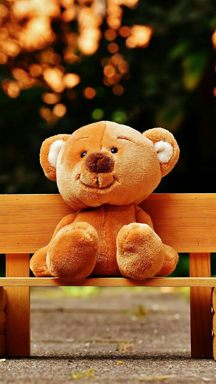 Teddy Bear