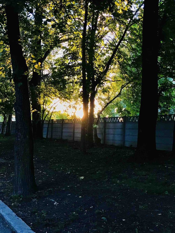 beautiful light