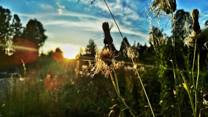 sunset picture
