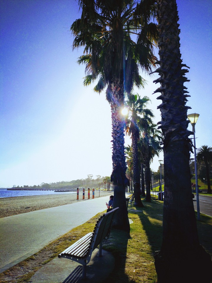 Bench by the bay