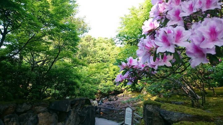 Japanese garden